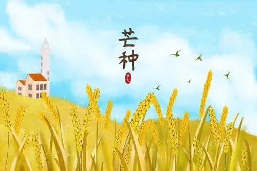 芒种节气文案