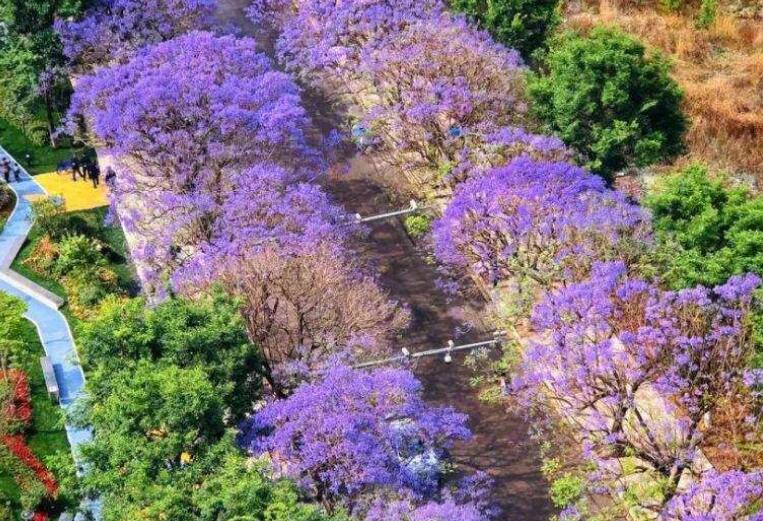 和喜欢的人一起看风景的文案
