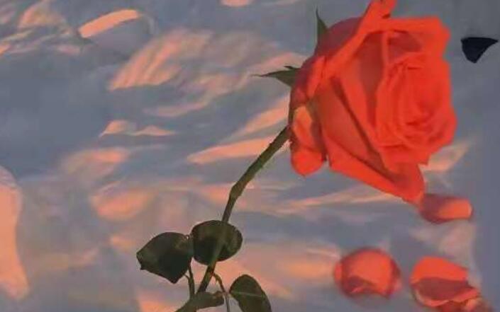 失望的文案长句