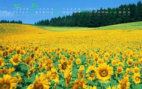 5月份朋友圈文案