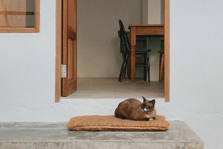 qq说说温柔文案