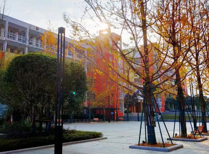 介绍校园的文案