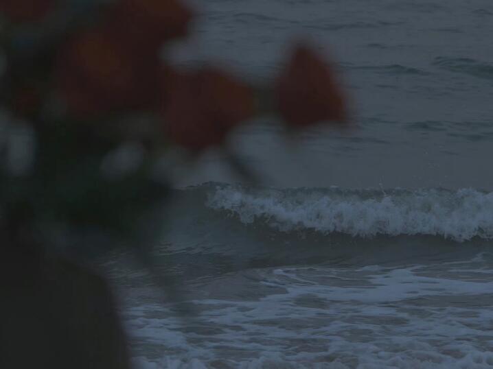 抖音容易被评论的文案