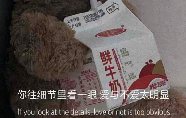 超级温柔的表白文案长篇