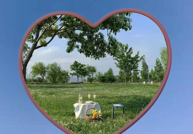 描述自己的文案简短