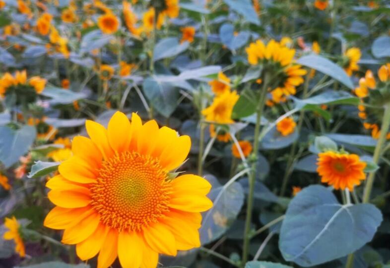 跨年时适合发的文案