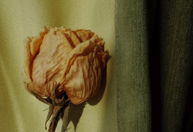 适合做开头语的文案