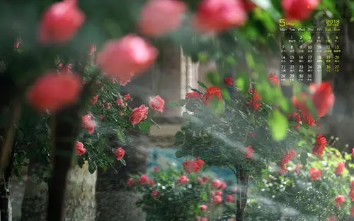 5月份朋友圈文案