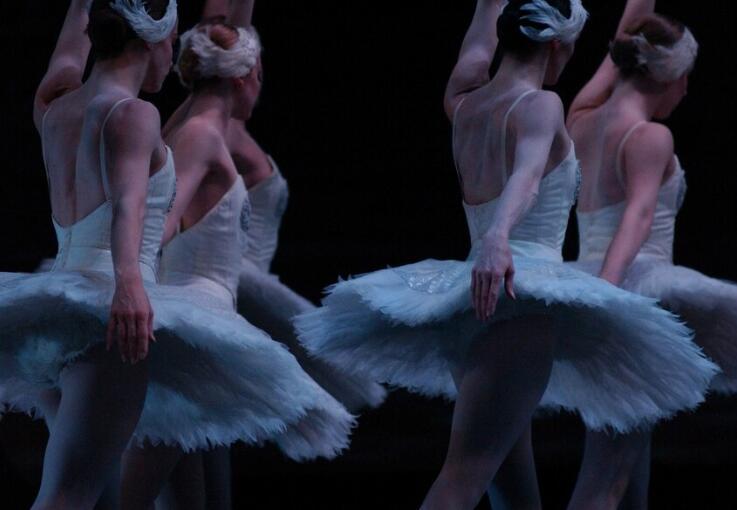 培训机构招生宣传文案