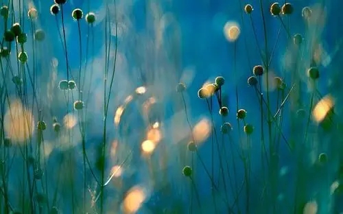 高大上的朋友圈文案