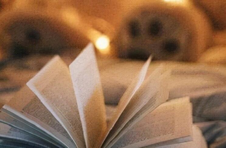 男生短句文案舒服