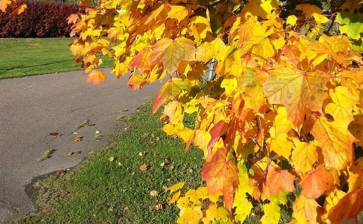 表示很刺激的朋友圈文案