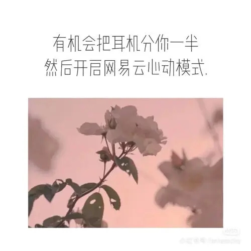 12月文案小红书