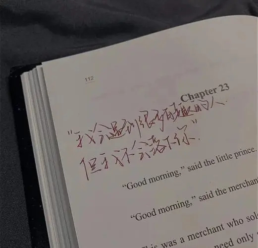 一些小说里的文案