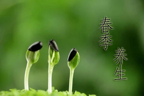 春季养生宣传文案