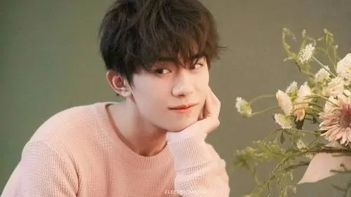 表白爱豆超话的古风文案