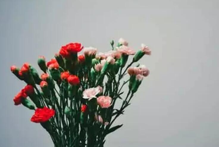 宁愿在外面也不想回家文案