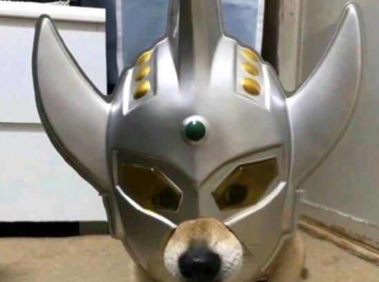 很土的朋友圈文案