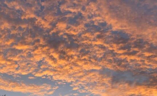 求婚惊喜朋友圈文案