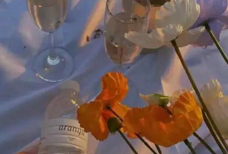 抖音英文文案特殊字体