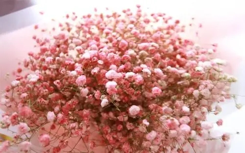 女神节标题文案