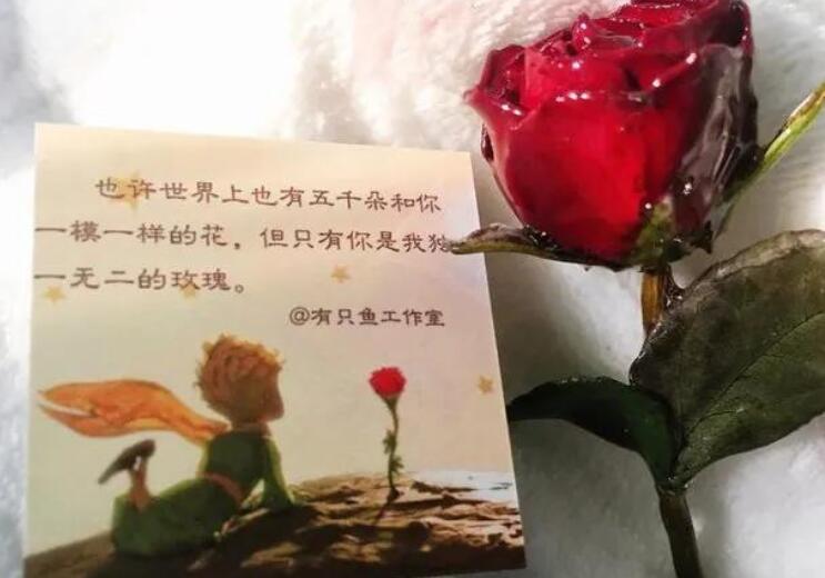 少年与玫瑰的文案