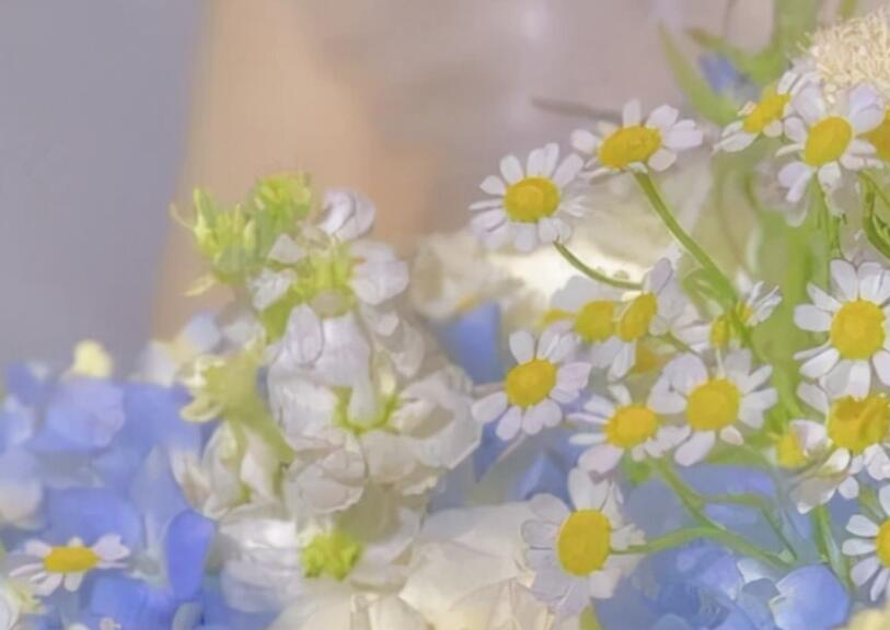 出去玩的很开心的文案