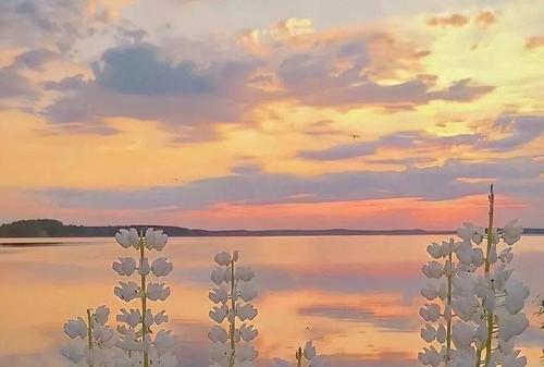 海边风景朋友圈文案