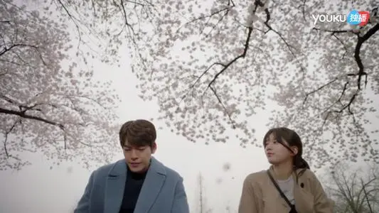 《任意依恋》经典台词文案和名句语录句子