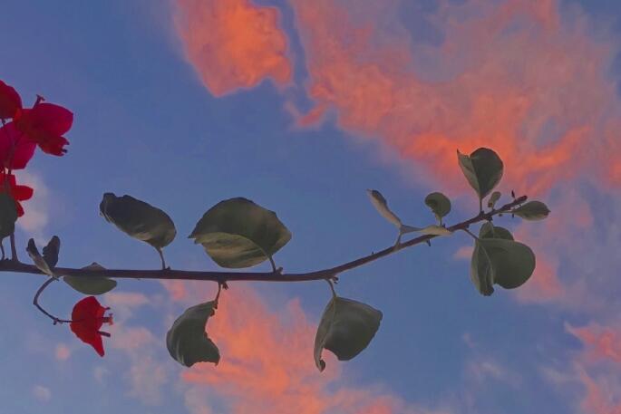 关于神明的文案短句