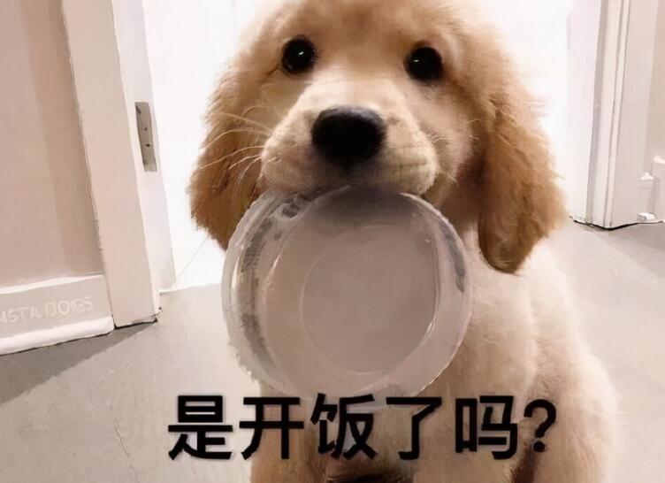 关于吃的搞笑朋友圈文案