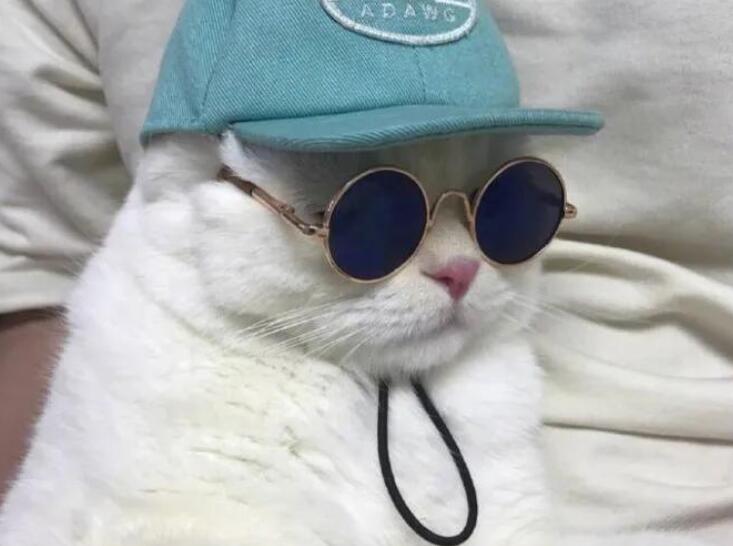 自拍朋友圈文案可爱