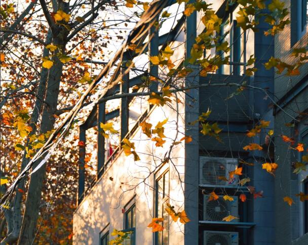 文案短句温柔无关爱情