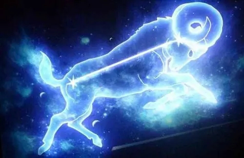 抖音摩羯座文案