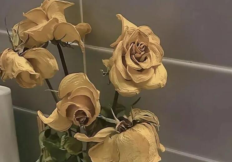 公布男朋友的高级文案