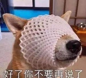 花的钱不知去向的文案