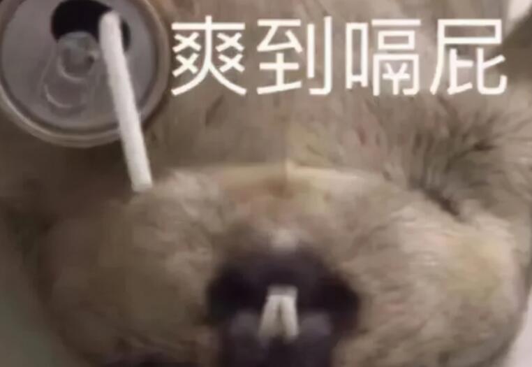 跨年发自拍的九宫文案