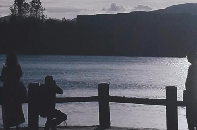 表达喜欢一个人的文案图片