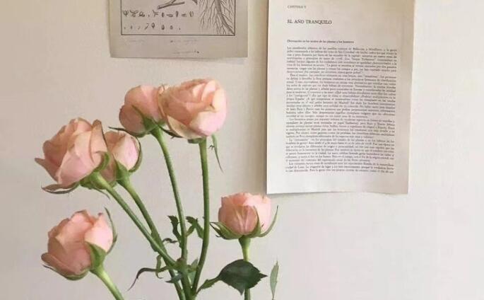 神仙治愈系文案句子