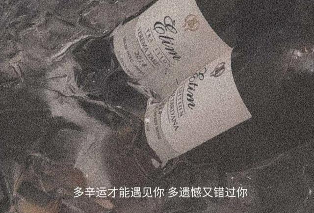 很虐心丧系文案