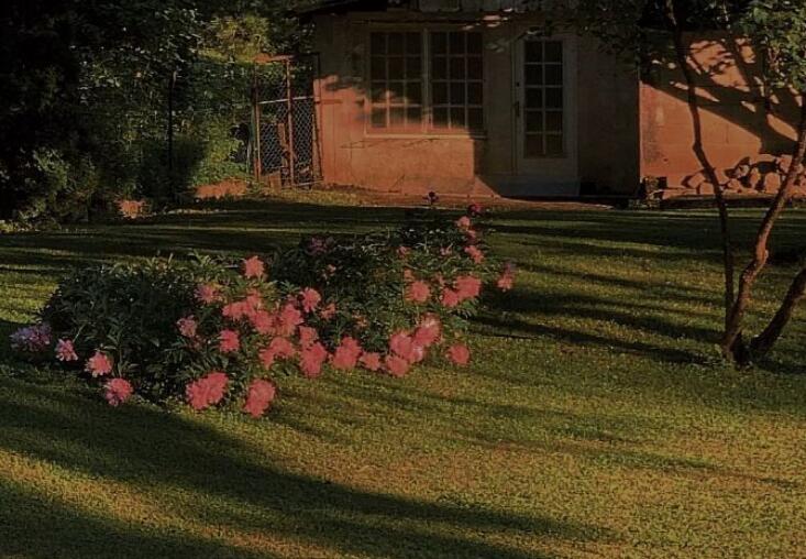 情人节花店文案