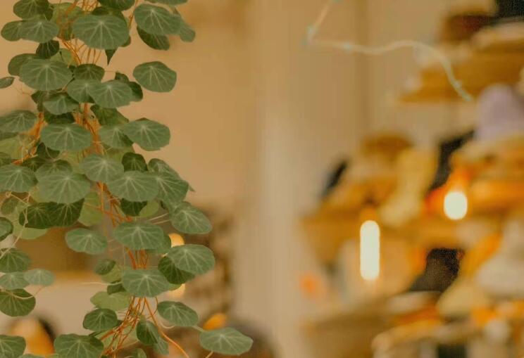 精美正能量文案