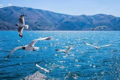 海边风景朋友圈文案