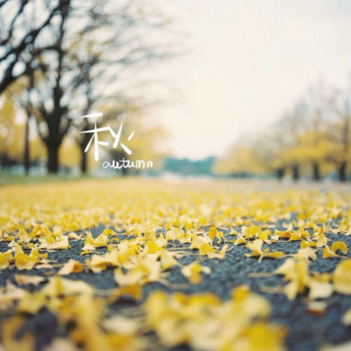 秋天好心情朋友圈文案