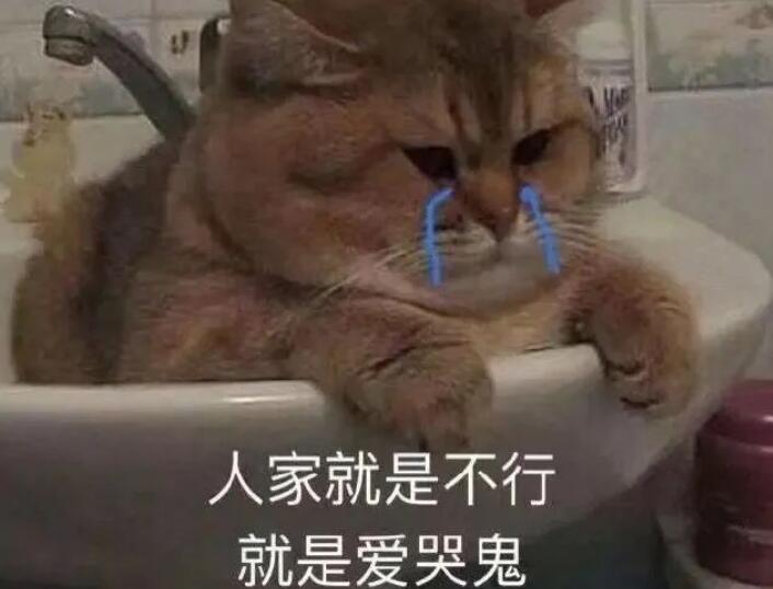 沙雕文案配图片