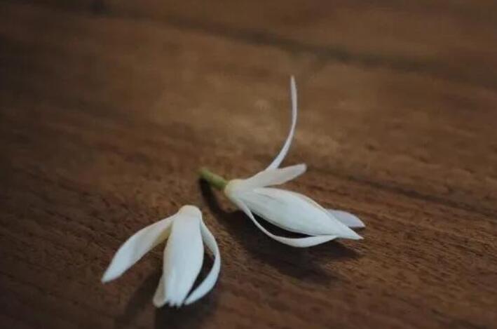 超级励志的神仙文案