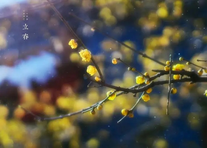 四季轮回的唯美文案