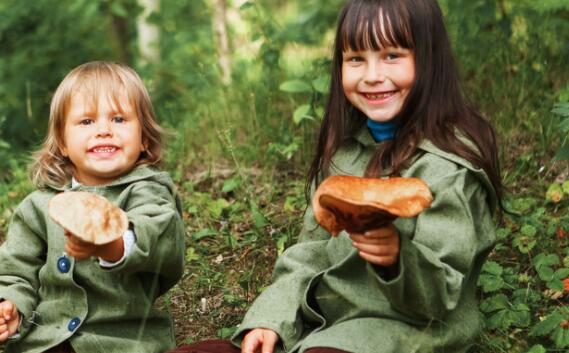 适合蘑菇的文案
