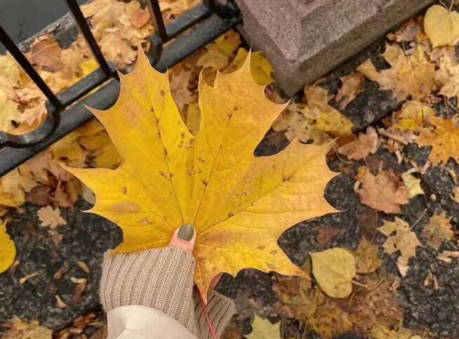 让大家扫码的文案