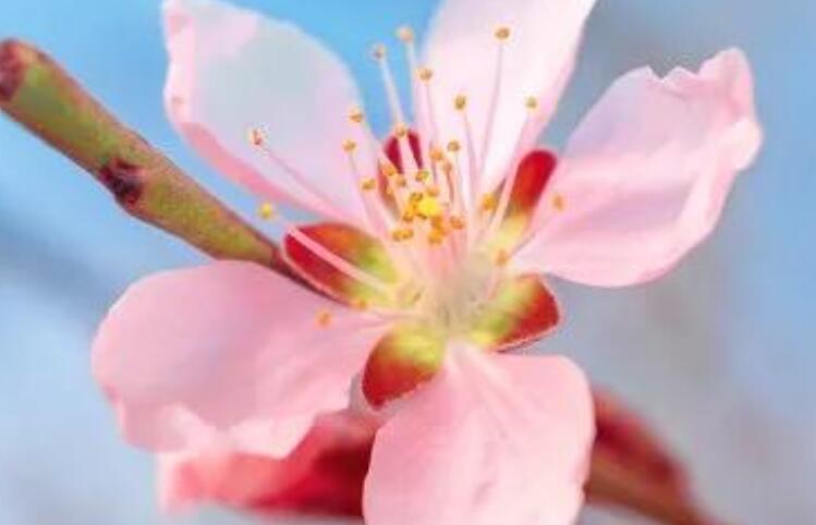 祝人身体健康的文案